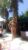 Gösterişli Escort Sanem - Resim1 Gösterişli Escort Sanem - Resim1