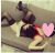 Gerçek Resimli Yeni Escort Filiz - Resim3 Gerçek Resimli Yeni Escort Filiz - Resim3