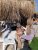 Gerçek Resim Kullanan Escort Deniz - Resim2 Gerçek Resim Kullanan Escort Deniz - Resim2