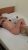 Moldovalı Escort Bayan Anna - Resim1 Moldovalı Escort Bayan Anna - Resim1