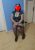 İzmirli Escort Bayan Feride - Resim1 İzmirli Escort Bayan Feride - Resim1