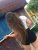 Balıketli Yeni Escort Sinem - Resim2 Balıketli Yeni Escort Sinem - Resim2