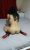 Yeni Escort Gerçek Fotolu Didem - Resim3 Yeni Escort Gerçek Fotolu Didem - Resim3