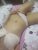 Kumral Güzel Escort Özlem ve Arkadaşı - Resim2 Kumral Güzel Escort Özlem ve Arkadaşı - Resim2