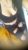 Yeni Seksi Sarışın Escort Yağmur - Resim4 Yeni Seksi Sarışın Escort Yağmur - Resim4